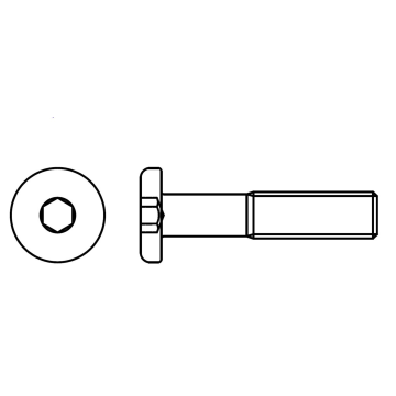 Hex socket pan head furniture screw, partially threaded with dogpoint
