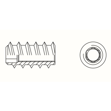 Insert nut with hex socket