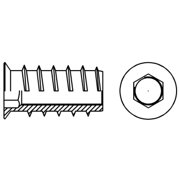 Insert nut with hex socket and collar, C type 