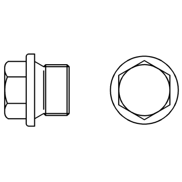Hex head threaded plugs with collar INOX 