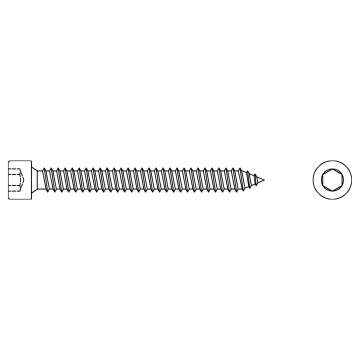 Sheet metal screw with socket head and hexagon recess INOX